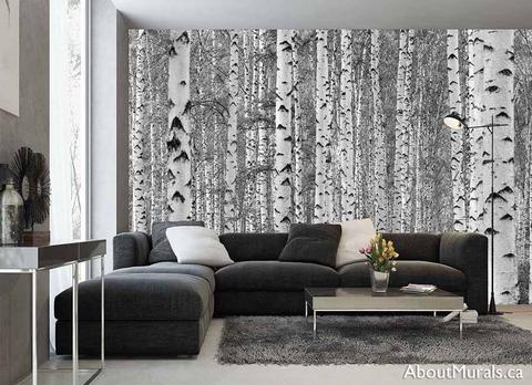 A birch tree forest black and white wall mural, sold by AboutMurals.ca, in a modern living room