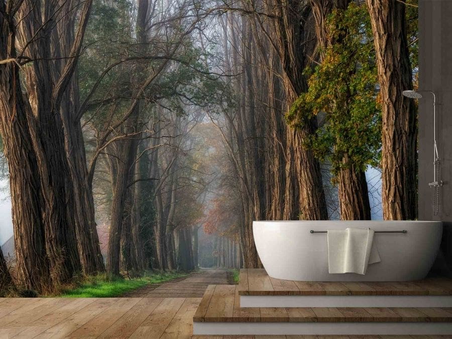 Acacia Wallpaper, as seen on the wall of this bathroom, is a photo mural of mysterious acacia trees arching over a misty, winding road from About Murals.