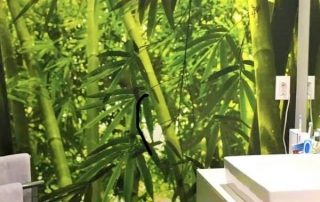 Asian Bamboo Forest Wall Mural, as seen in this bathroom, features green tropical trees. Forest wallpaper sold by AboutMurals.ca.
