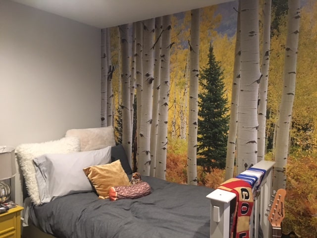 Aspen Forest Elk Mountains Colorado wall mural in a bedroom, sold by AboutMurals.ca
