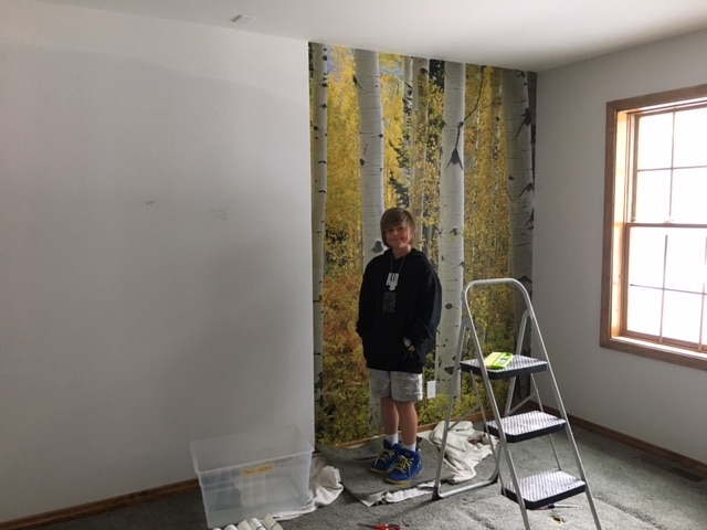 Aspen Forest Elk Mountains Colorado wall mural being hung by AboutMurals.ca customer Sandra and her son