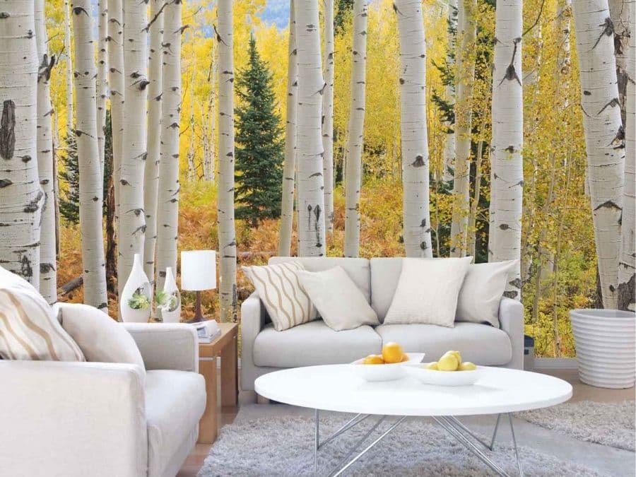 Aspen Forest Wallpaper, as seen on the wall of this living room, features white aspen trees in a yellow autumn forest from About Murals.