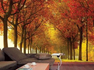 Autumn Colors Wall Mural, as seen in this living room, is a photo wallpaper of a red and yellow tree lined path from About Murals.