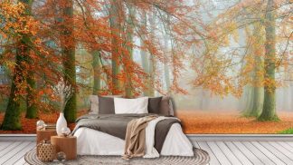 Autumn Season Wallpaper, as seen on the wall of this bedroom, is a photo mural of a leafy trail under orange fall trees in a forest from About Murals.