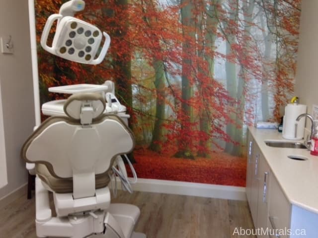 Autumn Season Wallpaper, as seen on the wall of this dentist office, is a photo wallpaper of dark orange trees hanging over a textured leafy path against a gray misty background from About Murals.