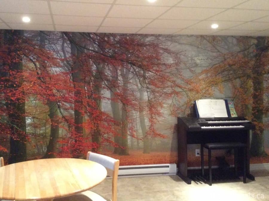 Autumn Season Wallpaper, as seen on the wall of this music room, is a photo wallpaper of orange trees arching over a natural path in a foggy forest from About Murals.