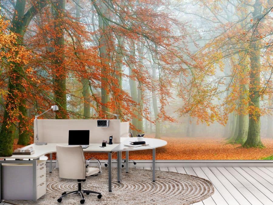 Autumn Season Wallpaper, as seen on the wall of this office, is a photo mural of beautiful orange trees hanging over a leaf covered trail in a beautiful fall forest from About Murals.