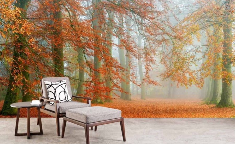 Autumn Season Wallpaper, as seen in this spa, is a photo wall mural of textured trees with oranges leaves in a foggy forest from About Murals.