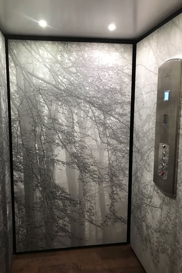 Autumn is Here Black and White Wall Mural, as seen on the wall of this elevator, is a grey forest wallpaper with dreamy trees from About Murals.