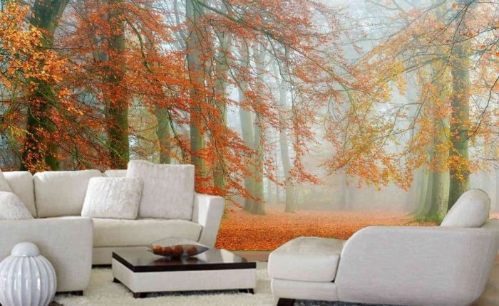 Autumn is Here Wall Mural, as seen in this living room, is a fall wallpaper of orange trees in a misty forest from About Murals.