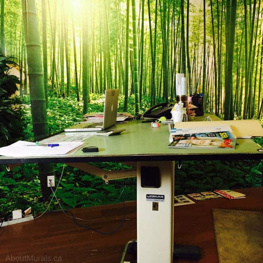 Bamboo Forest Wall Mural, as seen in this home office, feels fresh with its green bamboo trees. Forest wallpaper sold by AboutMurals.ca.