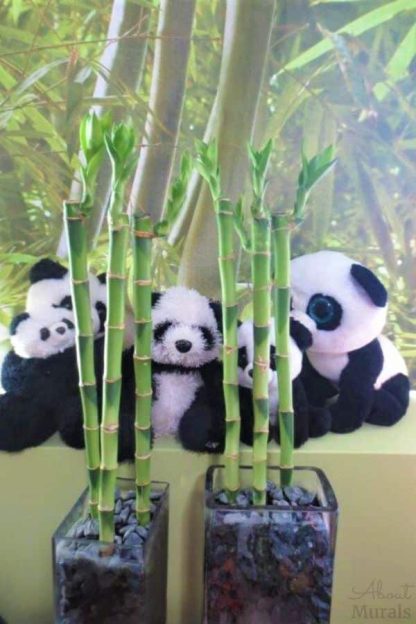 Asian Bamboo Forest Wall Mural, as seen in this kids bedroom, adds a peaceful feeling with its tropical green trees matched with stuffed panda bears. Forest wallpaper sold by AboutMurals.ca.
