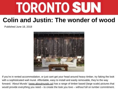 Barn Doors Wall Mural as seen in the Toronto Sun article by Colin and Justin titled "The wonder of wood"