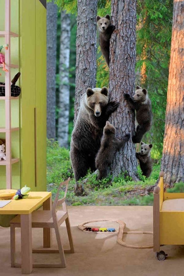 Bear Wallpaper, as seen on the wall of this bedroom, features a brown grizzly bear helping bear cubs climb a tree in a forest from About Murals.