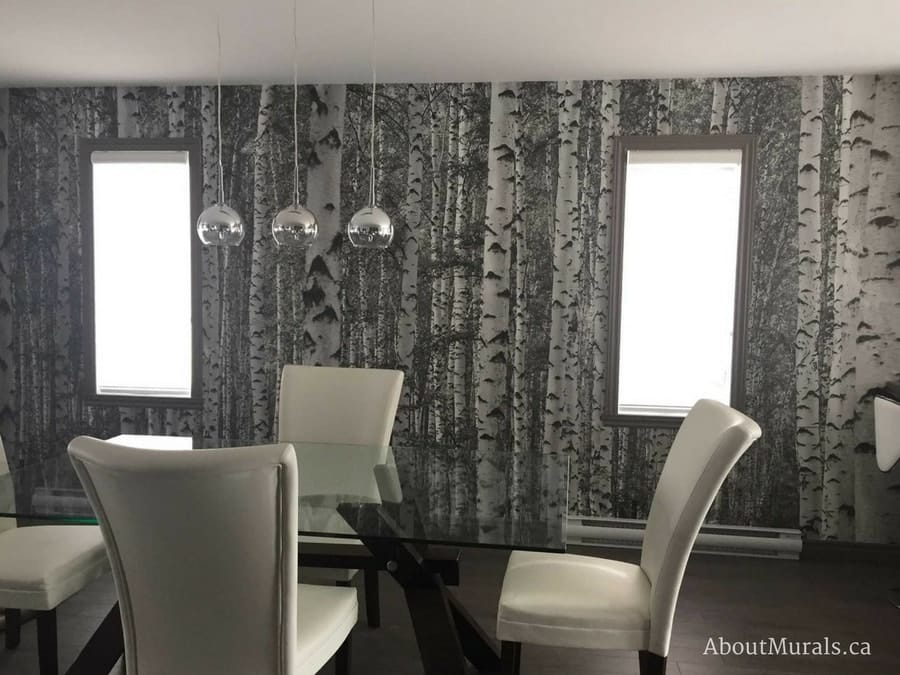 Birch Tree Forest Black and White Wall Mural, as seen in this dining room, feels sophisticated with its majestic trees. Birch tree wallpaper sold by AboutMurals.ca.