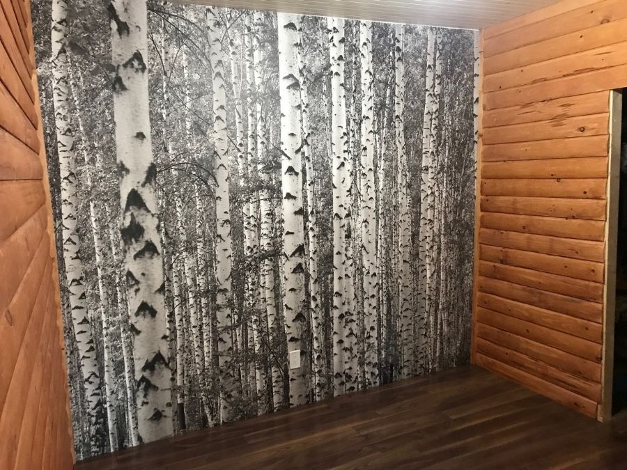 Birch Tree Forest Black and White Wall Mural, as seen on the wall of this cottage,