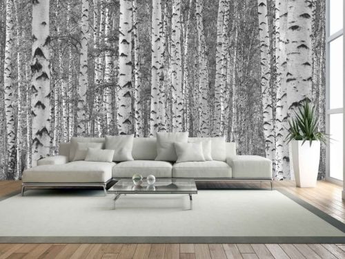 Birch Tree Forest Black and White Wall Mural in a Living Room. Birch wallpaper from About Murals.