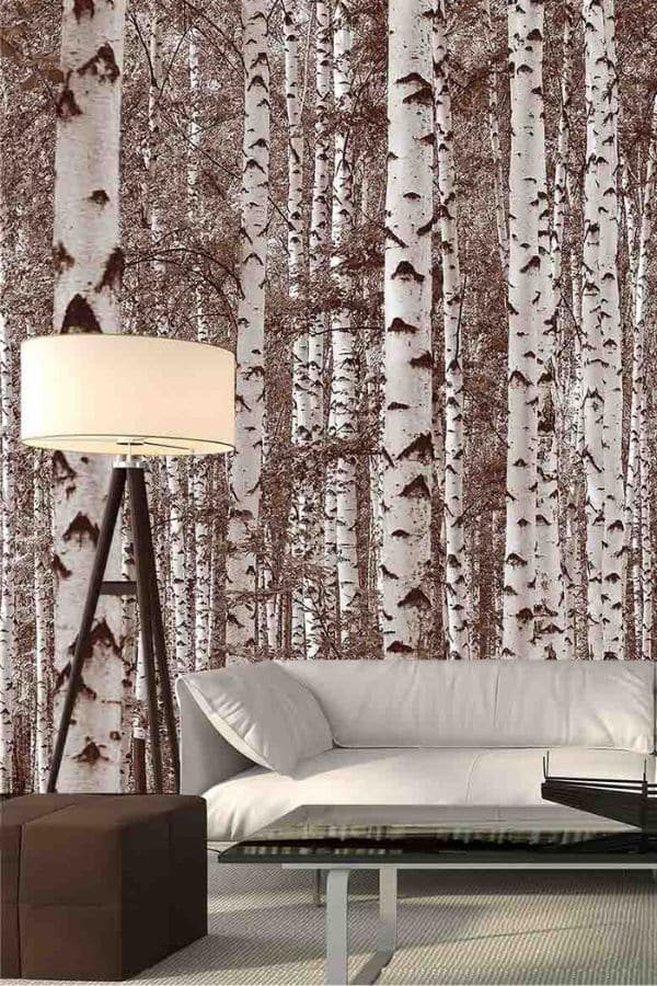 Birch Tree Forest Sepia Wall Mural, as seen on the wall of this cozy living room, is a photo wallpaper of white birch trees in a brown forest from About Murals.