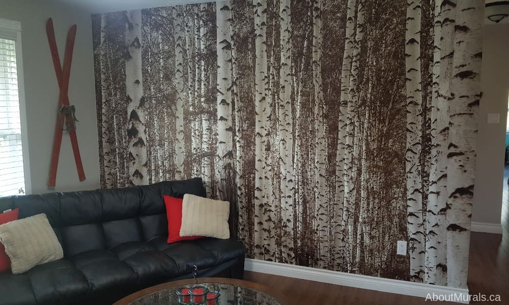 Birch Tree Forest Sepia Wall Mural, as seen on the wall of this living room, features tall white and brown trees. Forest wallpaper sold by AboutMurals.ca.