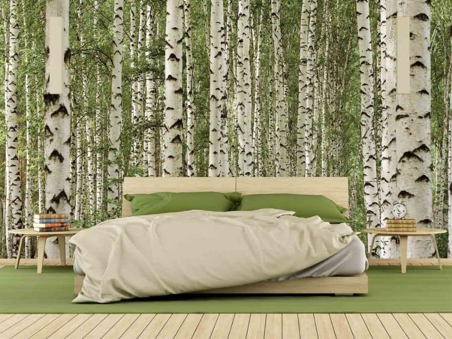 Birch Tree Forest Wall Mural, as seen in this bedroom, features majestic green trees. Birch wallpaper sold by About Murals.