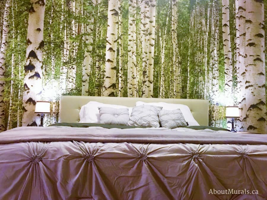 A birch tree forest wall mural in a bedroom