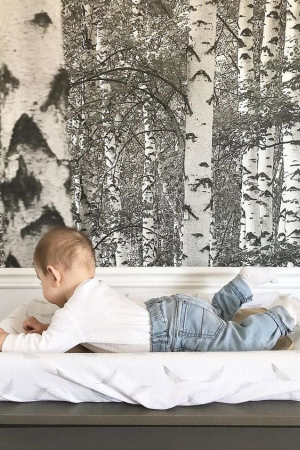 Black and White Birch Tree Wallpaper, as seen on the wall of this baby room, is a photo mural that is non-toxic with tall grey trees in a woodland area from About Murals.