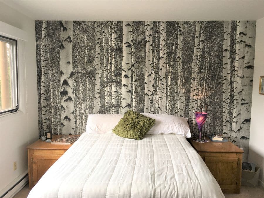 Black and White Birch Tree Wallpaper, as seen on the wall of this bed and breakfast, is a photo mural of majestic trees in a forest from About Murals.