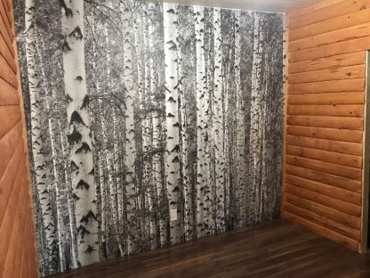 Black and White Birch Tree Wallpaper, as seen on the wall of this cabin, is a photo mural of peaceful trees in nature from About Murals.