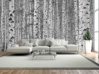 Black and White Birch Tree Wallpaper, as seen on the wall of this living room, is a photo wall mural of a beautiful forest from About Murals.