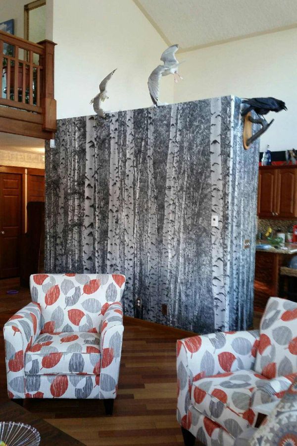 Black and White Birch Tree Wallpaper, as seen on the wall of this orange living room, is a photo wall mural of winter trees in a grey forest from About Murals.