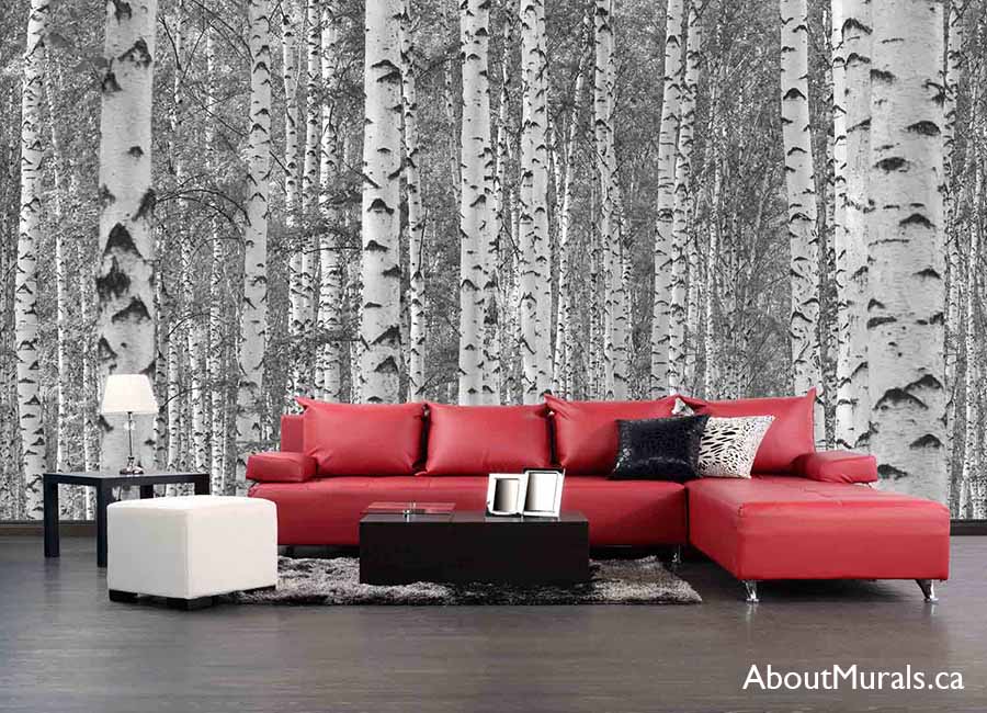 Black and White Birch Tree Wallpaper, as seen on the wall of this red living room, is a photo wall mural of textured trees in a birch forest from About Murals.