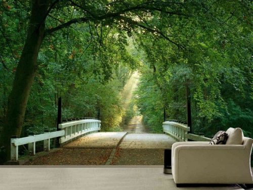 Bridge to the Forest Wall Mural, as seen in this living room, features a road running under green trees. Forest wallpaper from About Murals.