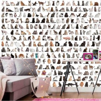 Cat Wall Mural, as seen in this kids room, is a cat wallpaper that features 471 different breeds of cats on a white background from About Murals.