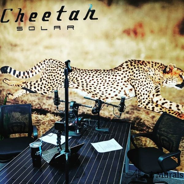 Cheetah Running Wall Mural - Cheetah Solar 2