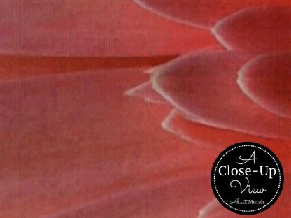 A close-up view of pink flower petals from a gerbera daisy wallpaper sold by About Murals.