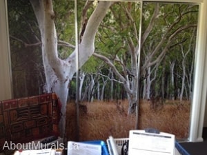 Gum Tree Australia Wall Mural, as seen in this home office, features white ghost gum trees in a field. Easy wallpaper from AboutMurals.ca.