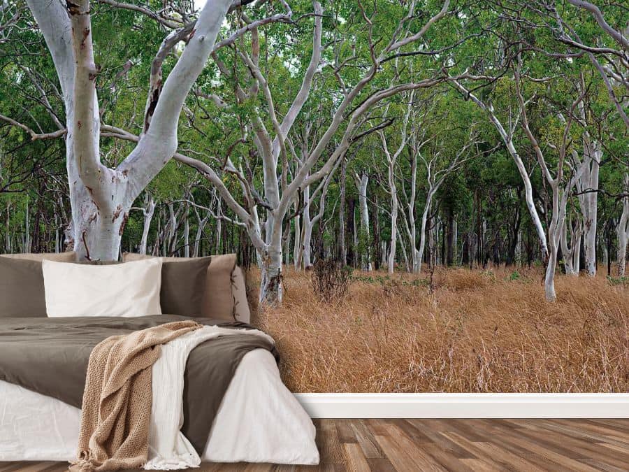 Gum Tree Wallpaper, as seen on the wall of this bedroom, is a mural of an Australian forest with white eucalyptus trees in a golden field from About Murals.