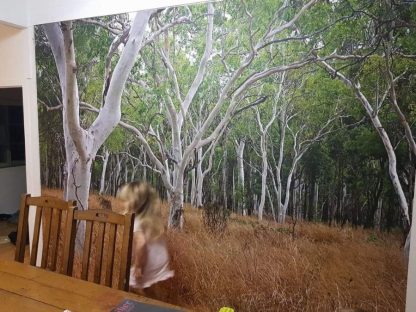 Gum Tree Wallpaper, as seen on the wall of this dining room, is a photo wall mural of natural Australian eucalyptus trees in a grassy field from About Murals.