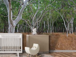 Gum Tree Wallpaper, as seen on the wall of this nursery, is a photo wall mural of natural Australian eucalyptus trees in a brown field from About Murals.