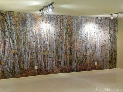 White Birch Wallpaper, as seen in this office, creates a tranquil feeling with its tall, autumn trees. Easy wallpaper sold by AboutMurals.ca.