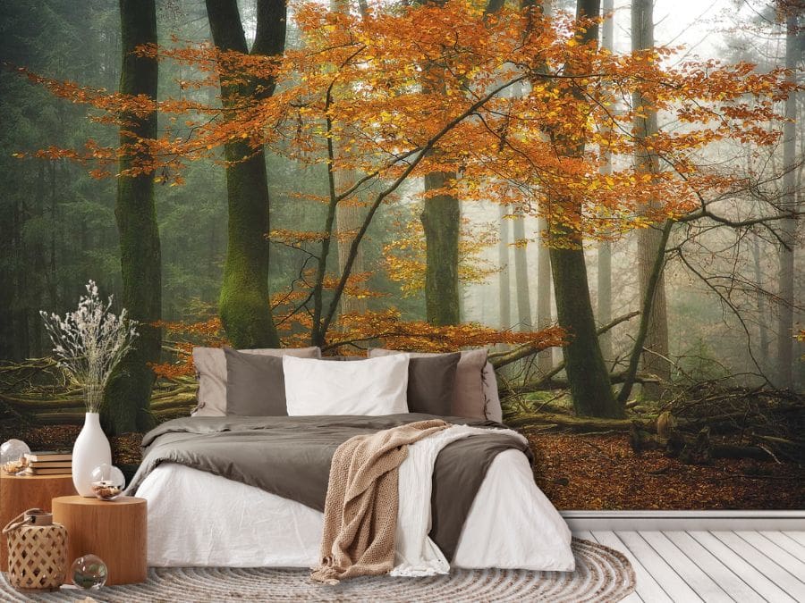 Moody Fall Wallpaper, as seen on the wall of this bedroom, is a photo wall mural of textured orange autumn trees against a dark misty forest background from About Murals.