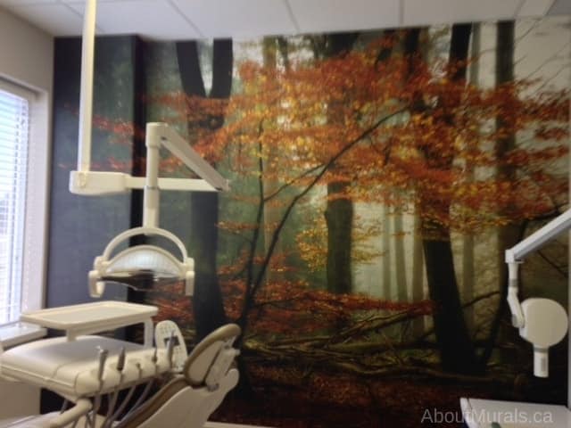 Moody Fall Wallpaper, as seen on the wall of this dental office, is a photo mural of dark orange autumn trees in a misty pine forest from About Murals.