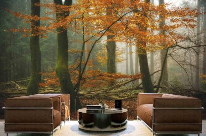 Moody Fall Wallpaper, as seen on the wall of this living room, is a photo mural of orange mossy trees in an autumn forest from About Murals.