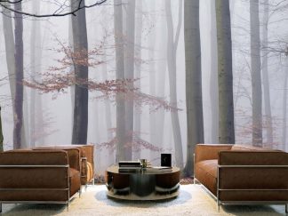 Morning Fog Wall Mural in a Living Room. Forest wallpaper from About Murals