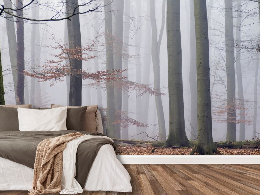 Morning Fog Wallpaper, as seen on the wall of this bedroom, is a realistic photo mural of mossy trees in a grey misty forest from About Murals.
