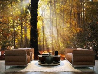 Morning Light Wallpaper, as seen on the wall of this living room, is a photo mural of sunbeams shining through autumn trees in a forest from About Murals.