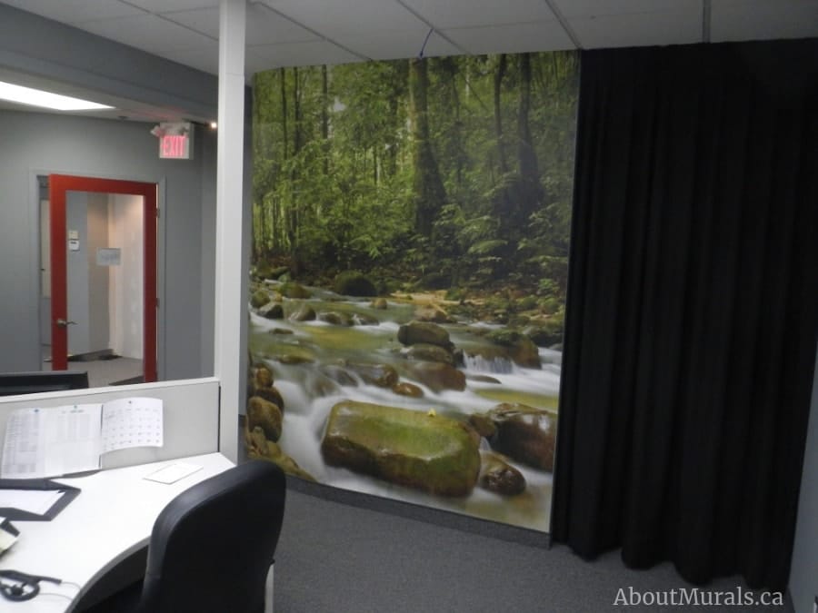 Mountain Stream Wall Mural, as seen on the wall of this office, features a river running through a green forest. Forest wallpaper sold by AboutMurals.ca.