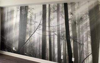 Old Forest Black and White Wall Mural, as seen in this room, features sunlight streaming through a grey forest. Forest wallpaper sold by AboutMurals.ca.