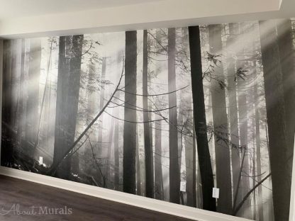 Old Forest Black and White Wall Mural, as seen in this room, features sunlight streaming through a grey forest. Forest wallpaper sold by AboutMurals.ca.