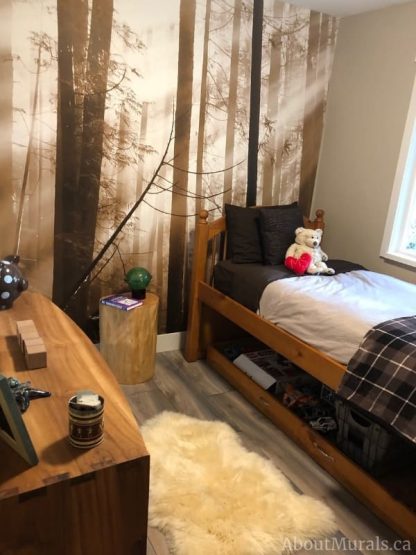 Old Forest Sepia Wall Mural, as seen in this boys bedroom, feels serene with sunshine peering through brown trees in a forest. Forest wallpaper sold by AboutMurals.ca.